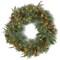 National Tree Company 24" Pre-Lit Artificial Christmas Wreath, Colonial Fir, White Lights, with Pine Cones, Berry Clusters